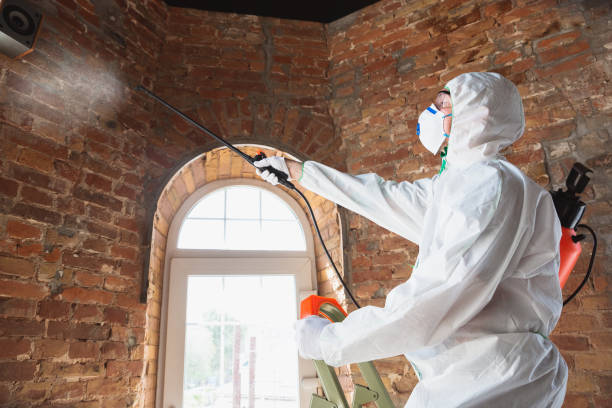 Mold Remediation for Rental Properties in Kenyon, MN